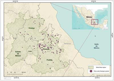 Implementing the nature's contributions framework: A case study based on farm typologies in small-scale agroecosystems from the Mexico highlands